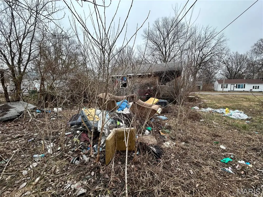 1214 Richard Drive, Cahokia, IL 62206 - #1