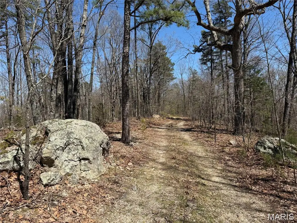 1 Off Fsr 2531, Belleview, MO 63623 - #1