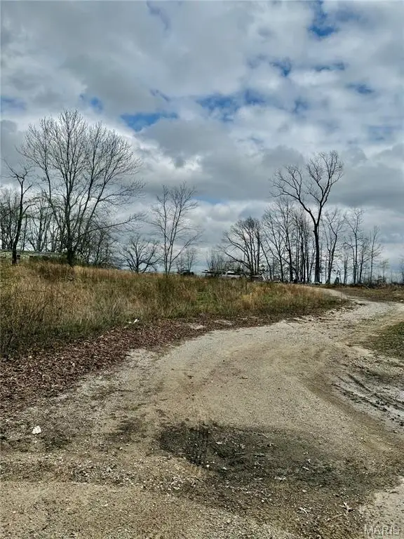 1365 County Road 3500, Mountain View, MO 65548 - #1