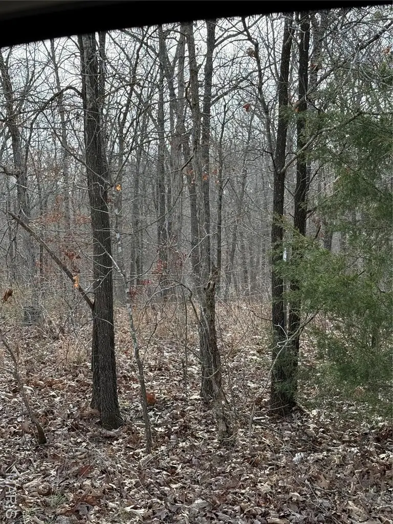 Address Withheld By Seller, Harmony, MO 65565 - #2