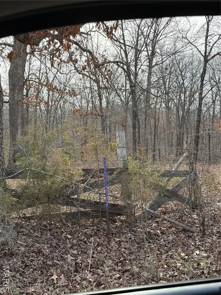 Address Withheld By Seller, Harmony, MO 65565 - #3