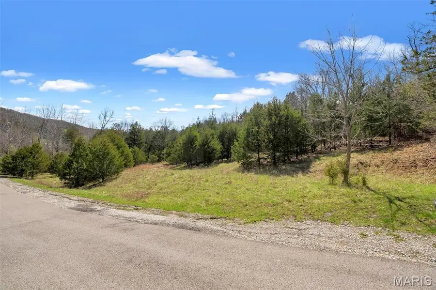 Lot 1 Freeman, Pacific, MO 63069 - #2