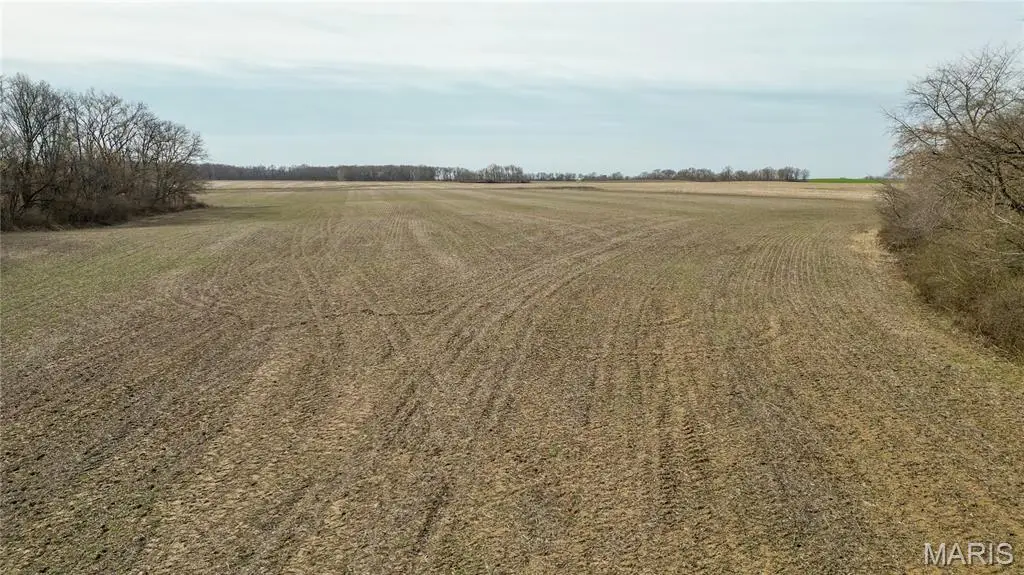 15247 Seven Sisters Avenue, Irving, IL 62051 - #1