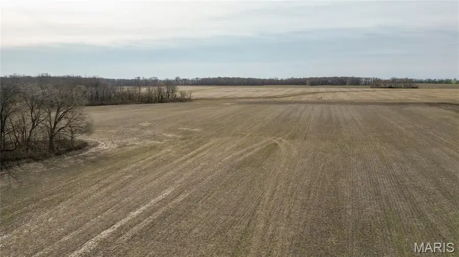 15247 Seven Sisters Avenue, Irving, IL 62051 - #2