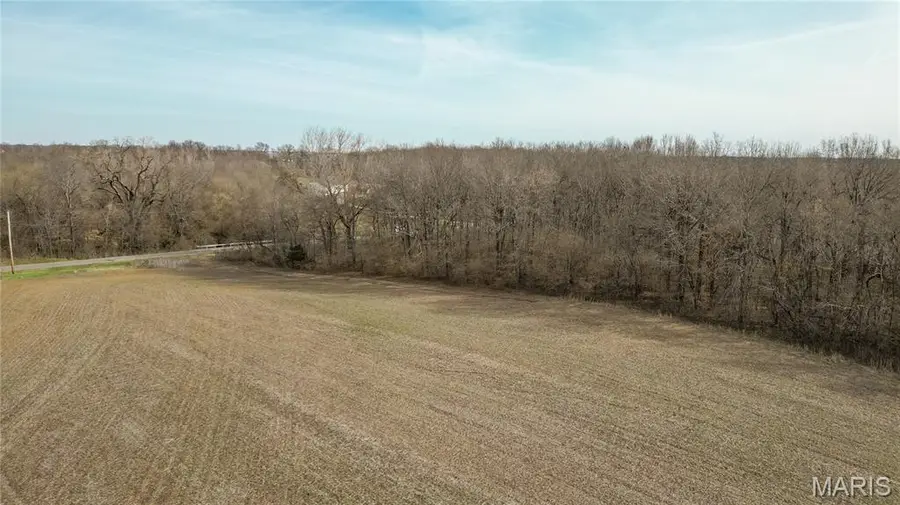 15247 Seven Sisters Avenue, Irving, IL 62051 - #3