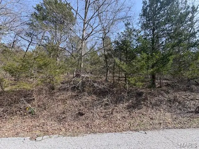 9940 Shiloh Drive, Raintree Plantation, MO 63050 - #1