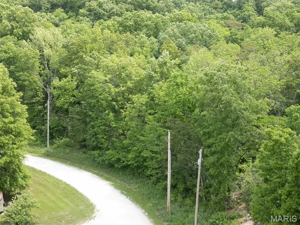 40 Winding Lane, Troy, MO 63379 - #1