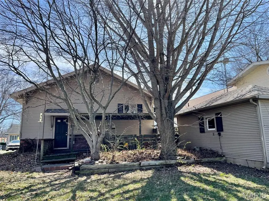 609 E Hauser Street, Litchfield, IL 62056 - #3