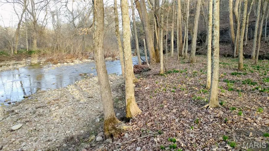 4828 Whitehead Road, Hillsboro, MO 63050 - #3