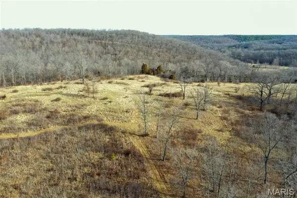 10331 Hopkins Road, Potosi, MO 63664