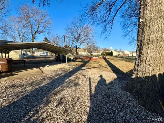 809 Lincoln Street, Elsberry, MO 63343 - #3