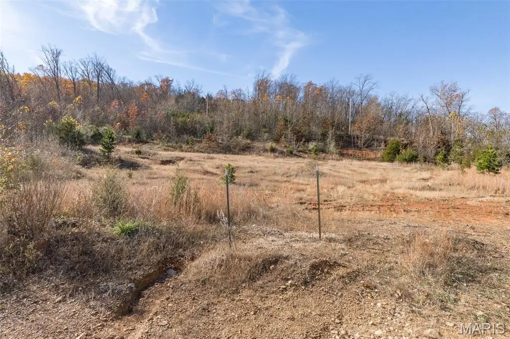 1502 Mo 21, Ironton, MO 63650 - #1