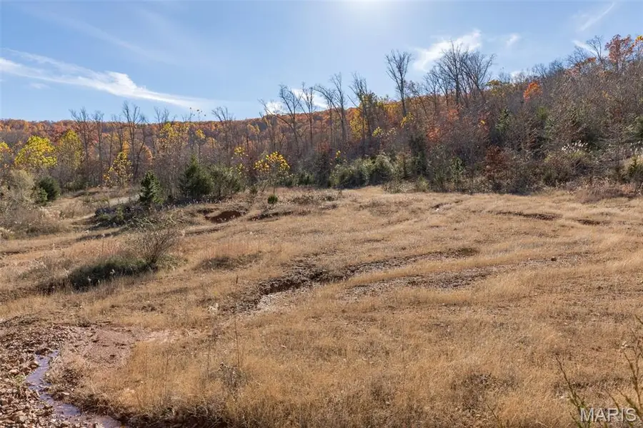 1502 Mo 21, Ironton, MO 63650 - #2