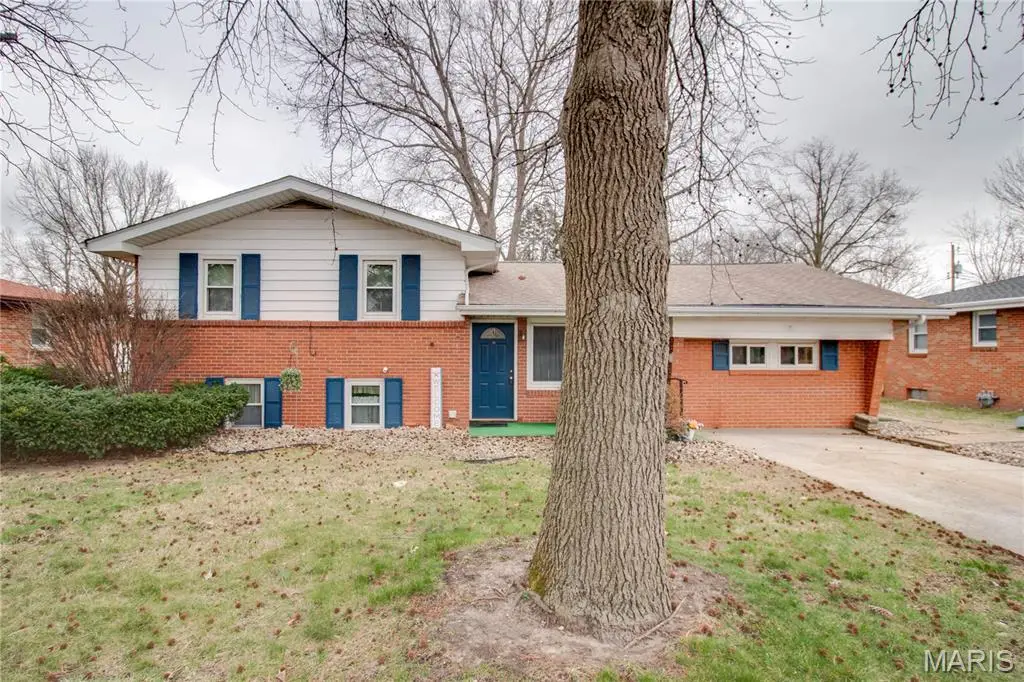 318 Albers Place, Bethalto, IL 62010 - #1