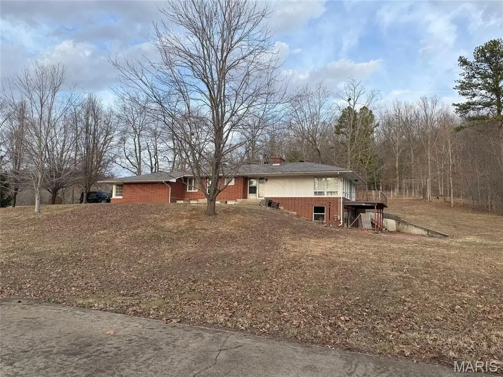 803 Highway 21, Ironton, MO 63650 - #1