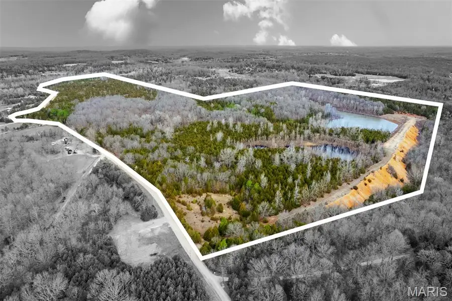 10135 Oakland Drive, Cadet, MO 63630 - #2