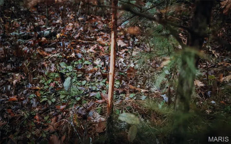 0 Lodge Tract 5 Road, Johnson, MO 65565 - #3