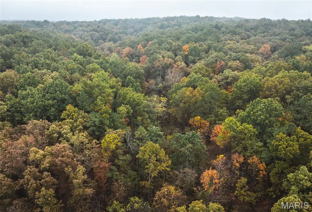 0 Lodge Tract 6 Road, Johnson, MO 65565 - #1