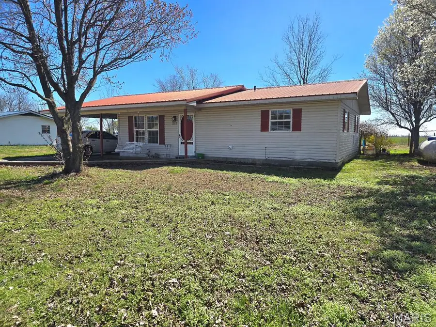 21850 S Sue Drive, Malden, MO 63863 - #2