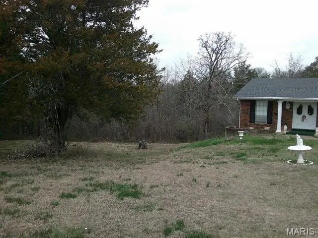 1559 Berry Dairy Road, De Soto, MO 63020 - #2