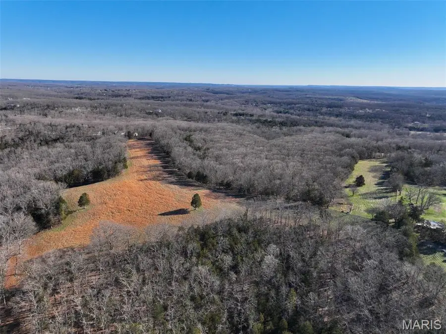 0 Scanlon Drive, De Soto, MO 63020 - #2