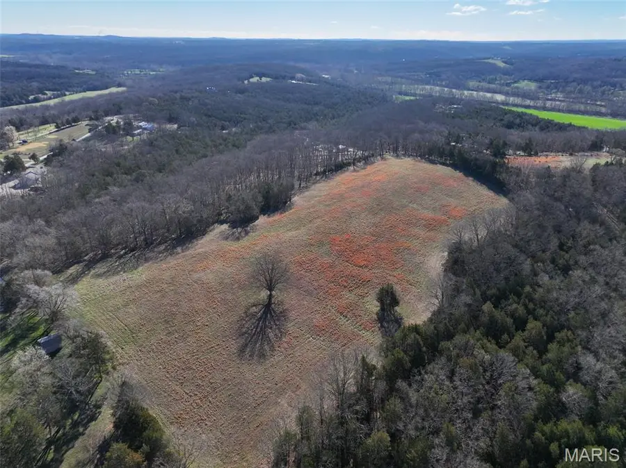 0 Scanlon Drive, De Soto, MO 63020 - #2