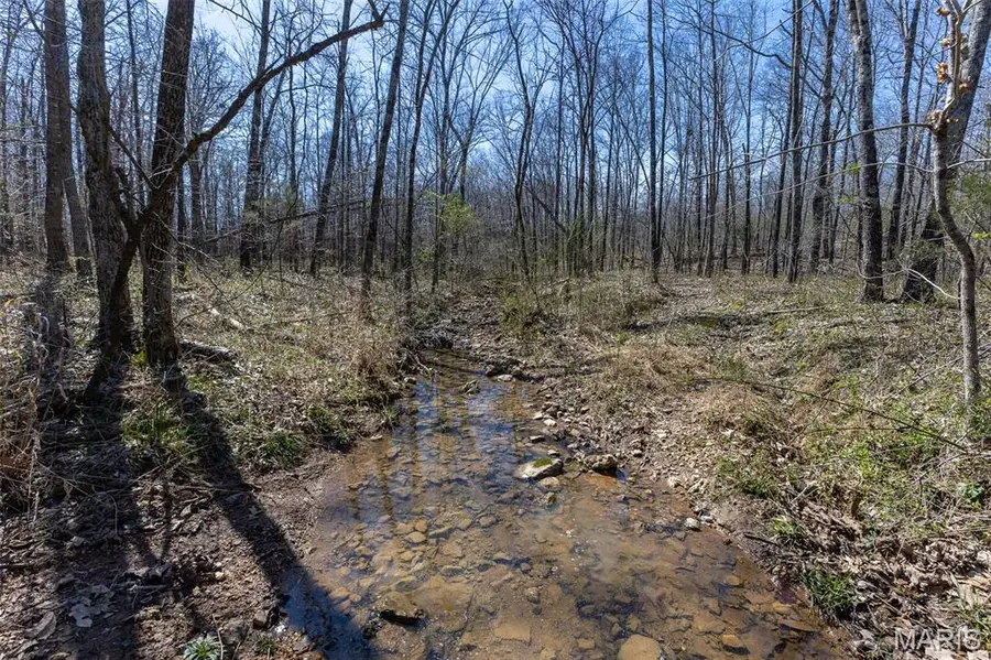 500 County Road 523, Poplar Bluff, MO 63901 - #2