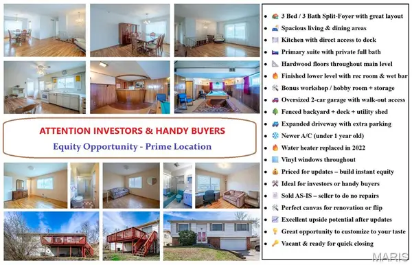 11648 Villa Dorado Drive, St Louis, MO 63146