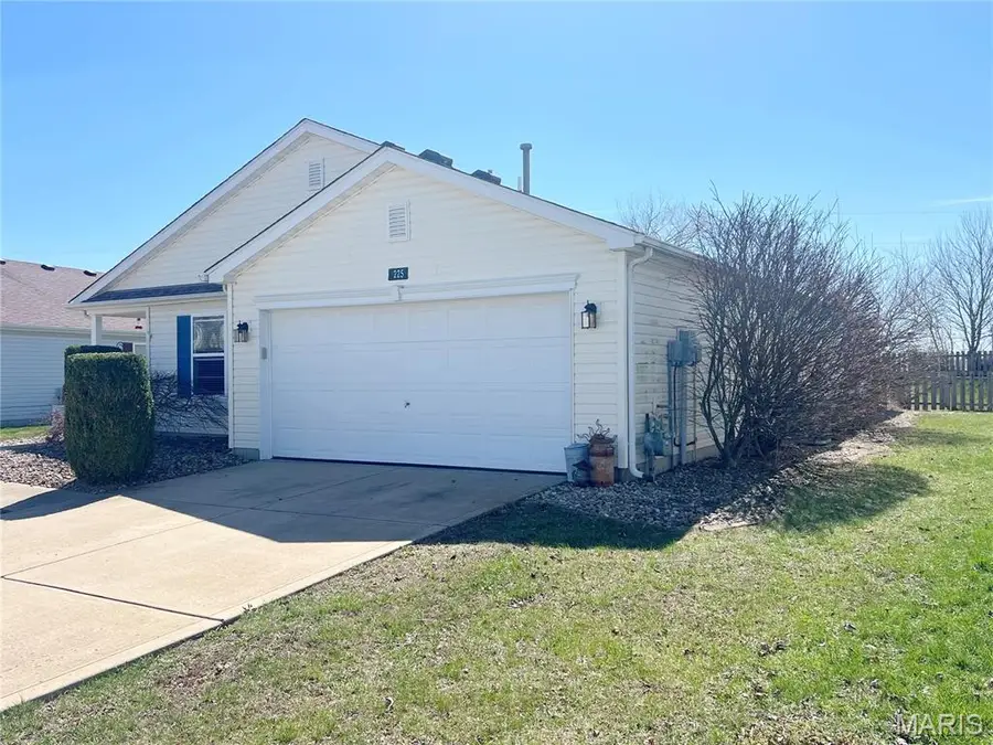 225 River Laurel Drive, Belleville, IL 62220 - #2