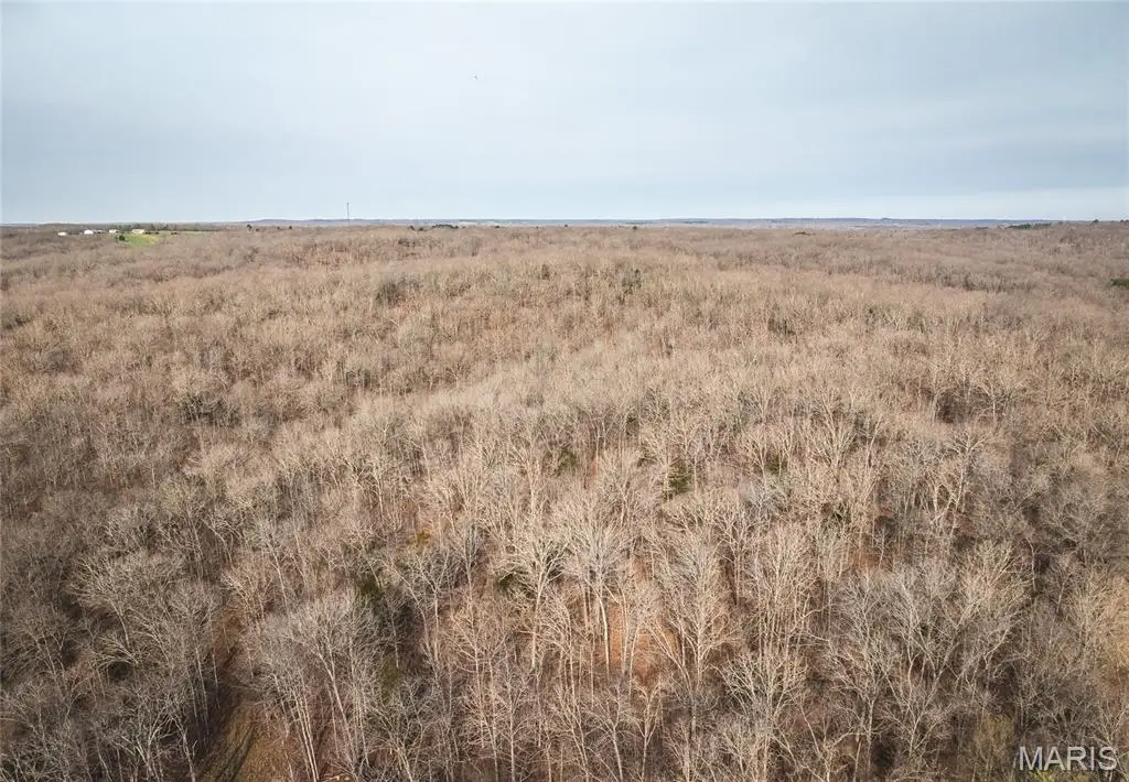 000 County Road 3600 Tract 1, Saint James, MO 65559 - #1