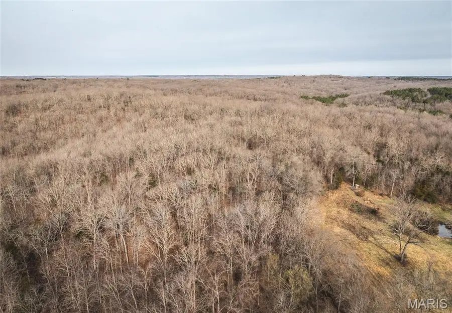 000 County Road 3600 Tract 1, Saint James, MO 65559 - #2