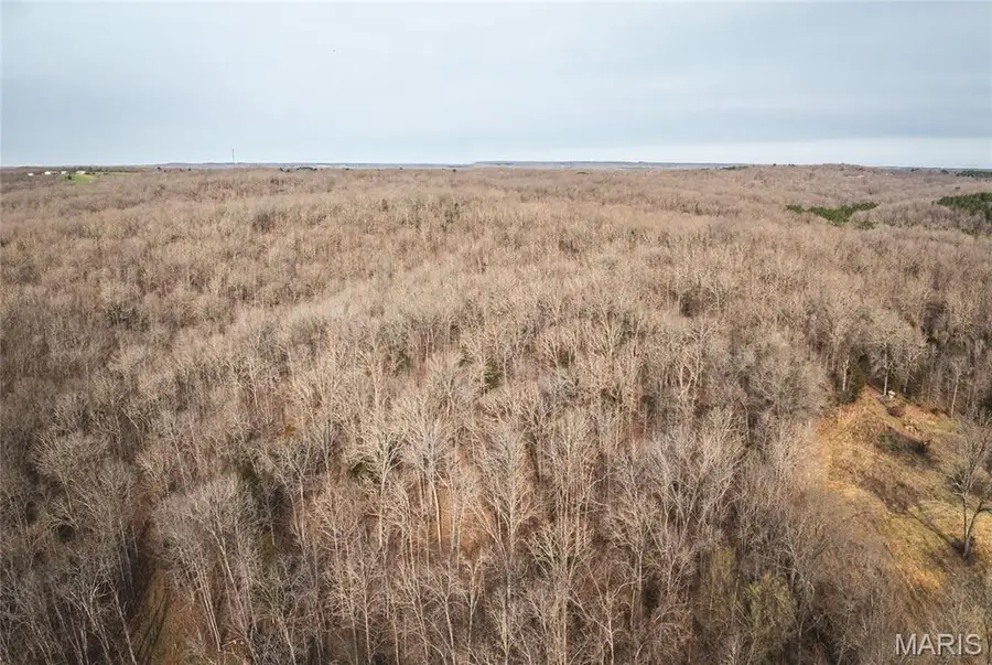 000 County Road 3600 Tract 1, Saint James, MO 65559 - #3