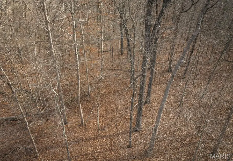 000 County Road 3600 Tract 3, Saint James, MO 65559 - #3