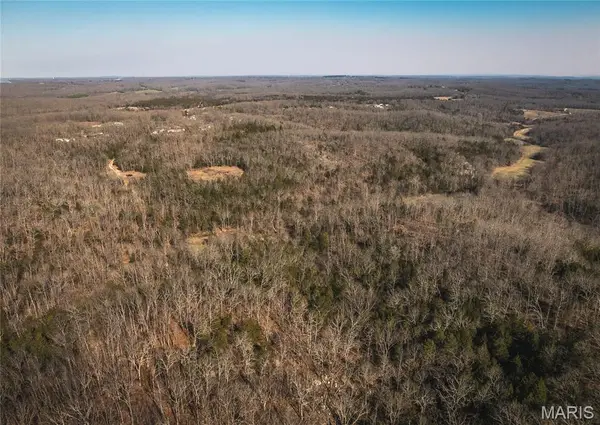 000 Hollingshead, Leasburg, MO 65453