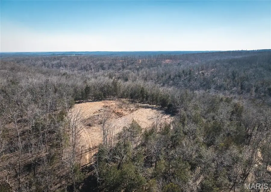 000 Hollingshead, Benton, MO 65453 - #2