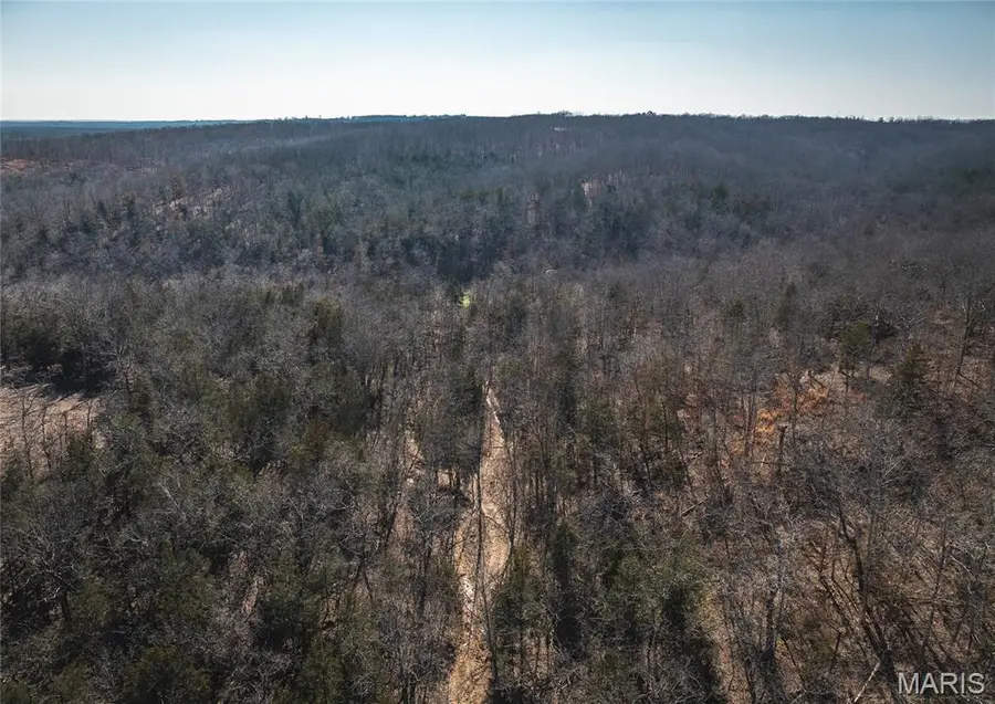 000 Hollingshead, Benton, MO 65453 - #3