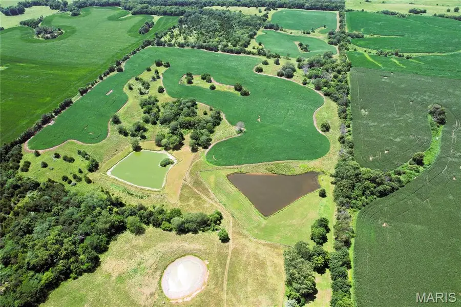 46613 Winter Rd, Duncan, MO 64630 - #3