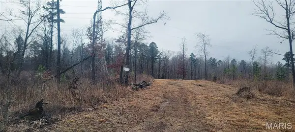 0 Delbridge Rd, Potosi, MO 63664