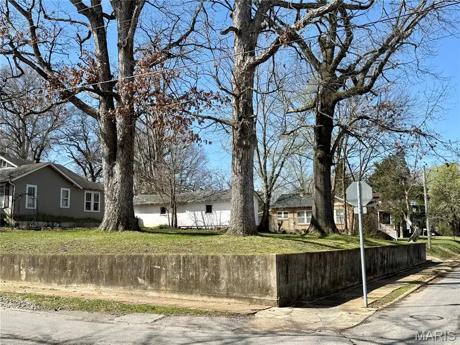 645 N 9th Street, Poplar Bluff, MO 63901 - #2