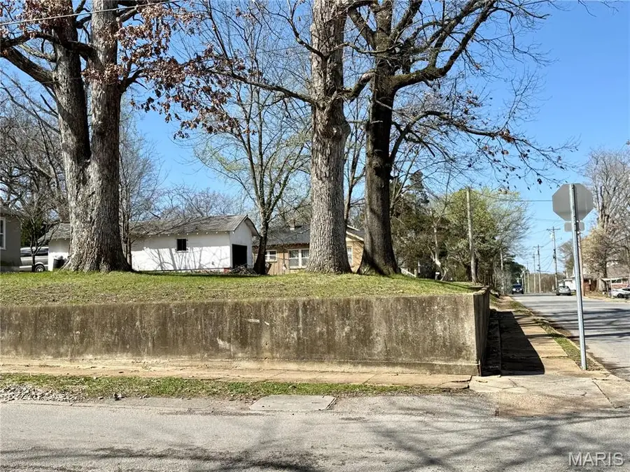 645 N 9th Street, Poplar Bluff, MO 63901 - #3