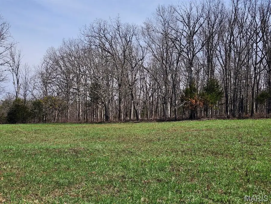 00 M- Huggins Road, Huggins, MO 65484 - #2