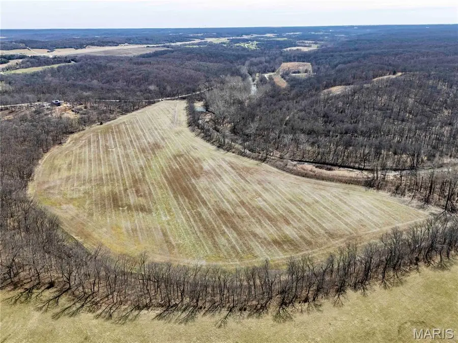 00 Pike 58, Frankford, MO 63441 - #2