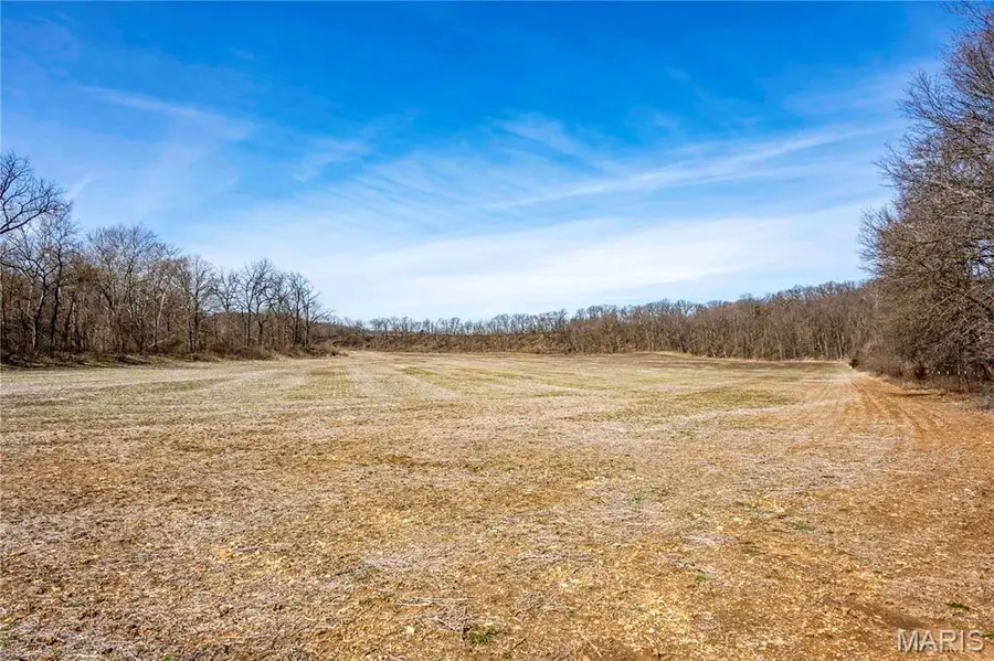 00 Pike 58, Frankford, MO 63441 - #3