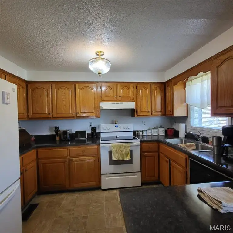 1009 Nickey Street, Poplar Bluff, MO 63901 - #2