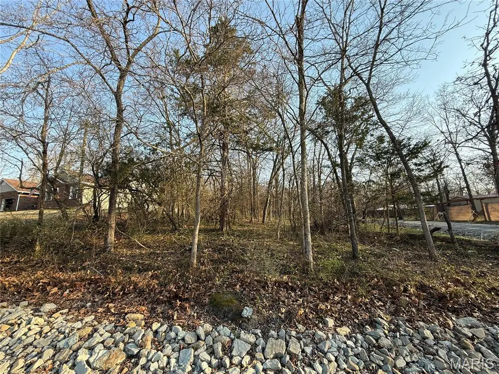 #411 South Deer Trail, Fredericktown, MO 63645 - #1