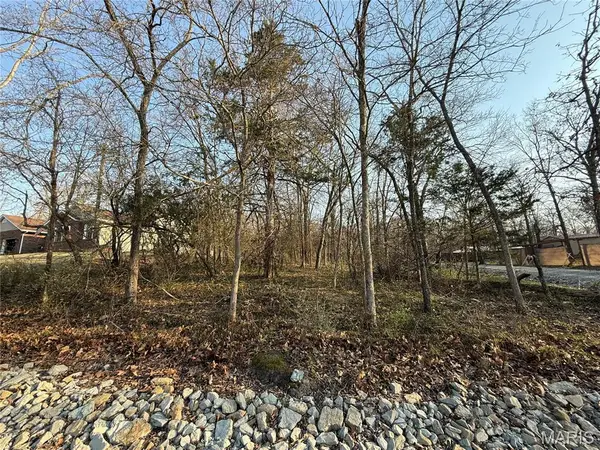 #411 South Deer Trail, Fredericktown, MO 63645