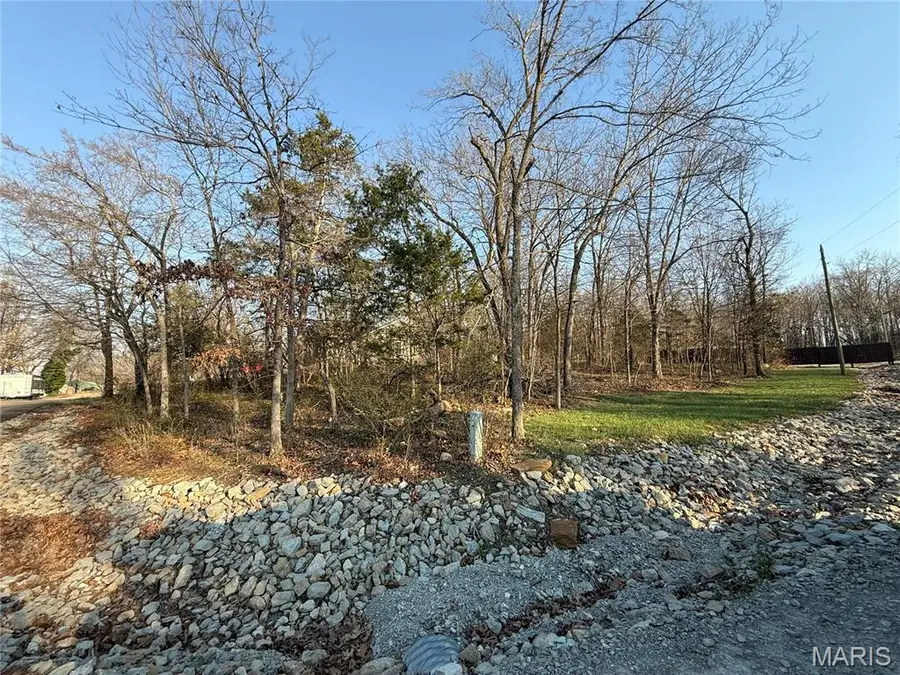 #411 South Deer Trail, Fredericktown, MO 63645 - #2