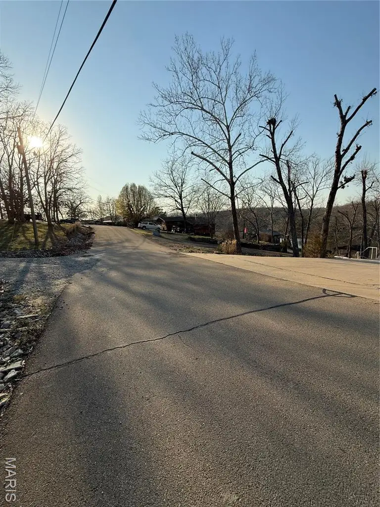 #411 South Deer Trail, Fredericktown, MO 63645 - #3