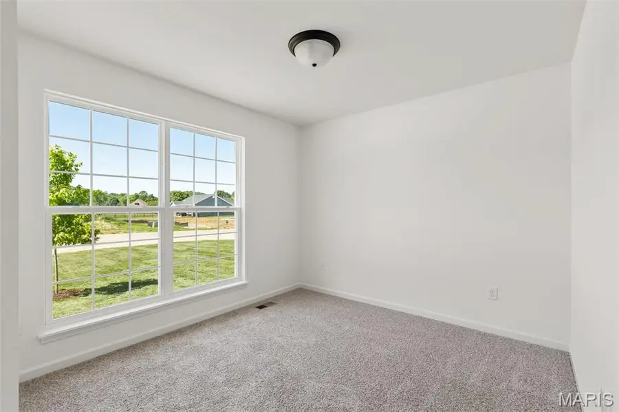 114 Day Lily Lane, Wentzville, MO 63385 - #2