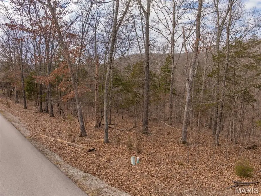 2537 Alpine Woods Drive, Innsbrook, MO 63390 - #3